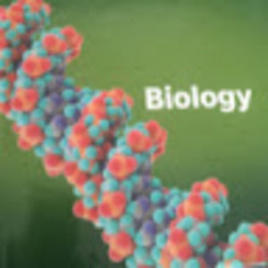 Meet your Posher, Ms.